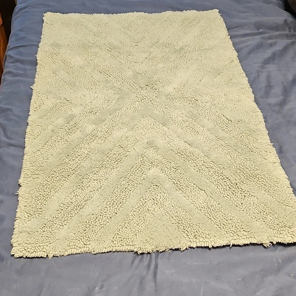 Nate Berkus Plush Chevron Bath Mat in Pale Green